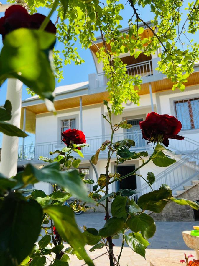 Hotel Big House Tbilisi Zewnętrze zdjęcie